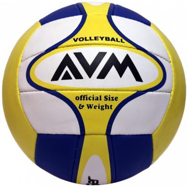 AVM Leaser Volleyball